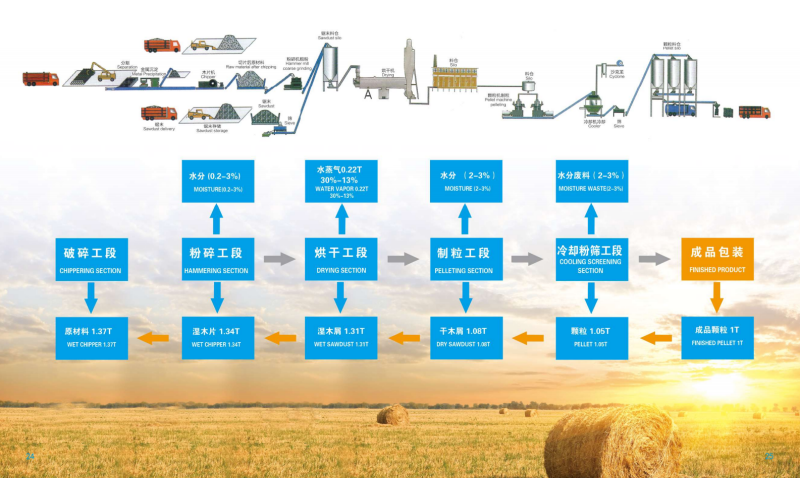 NG大舞台宣传册_13 - 副本.png